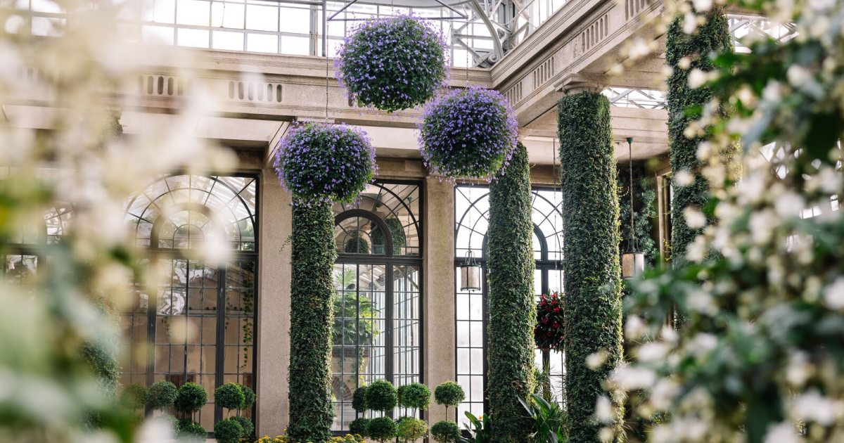 799685_Orangery_Mathias_ Becca